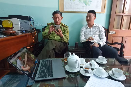 Hạt trưởng Kiểm lâm huyện Bá Thước bị điều chuyển công tác