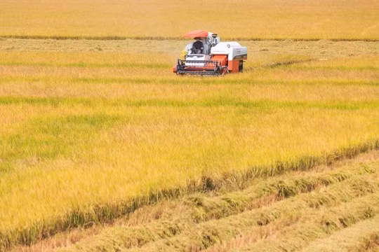 Vĩnh Long: Đầu tư 400 tỷ xây dựng Bảo tàng Nông nghiệp vùng ĐBSCL