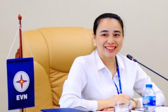Nữ CEO duy nhất của ngành điện Việt Nam
