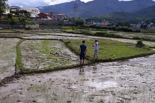 Kinh hoàng: Thảm án 3 người chết tại Điên Biên