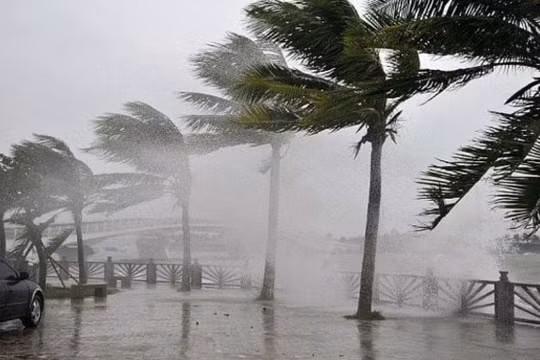 Áp thấp nhiệt đới di chuyển nhanh, tiến sát vào Đà Nẵng-Khánh Hòa