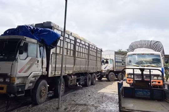 TP.HCM: Phát hiện, bắt giữ lô hàng cấm nhập khẩu đang vận chuyển đi tiêu thụ