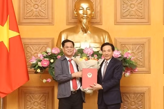Ông Trần Văn Sơn được chỉ định làm Bí thư Đảng ủy Văn phòng Chính phủ