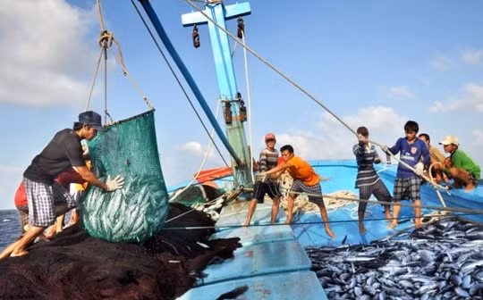 Việc Trung Quốc tạm ngừng đánh cá không có giá trị trên vùng biển Việt Nam