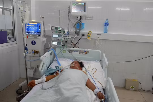Ngộ độc nấm ở Quảng Ngãi, 3 người trong gia đình tử vong