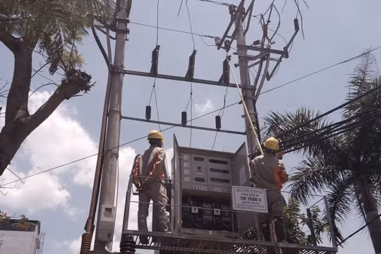 Điện lực miền Bắc kiểm tra sửa chữa kịp thời, tránh sự cố về điện