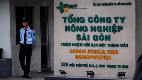 Bản tin pháp luật 8H: 5 cán bộ tại TP Hồ Chí Minh bị khởi tố cùng 1 ngày