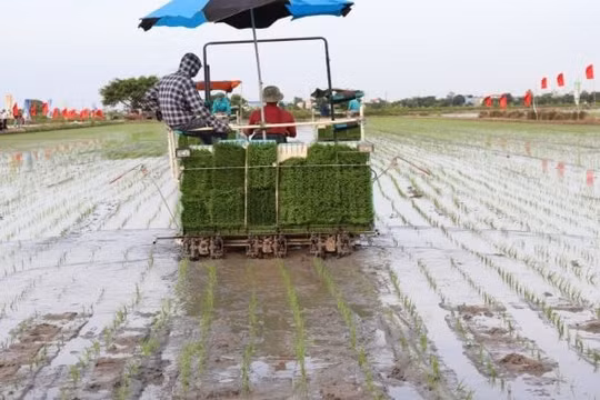 Bình Giang (Hải Dương): Những bước chuyển mình qua 5 năm đổi mới