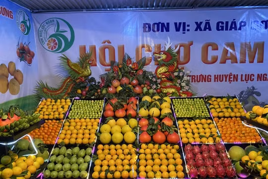 Bắc Giang: Đưa đặc sản vùng lên sàn giao dịch thương mại điện tử
