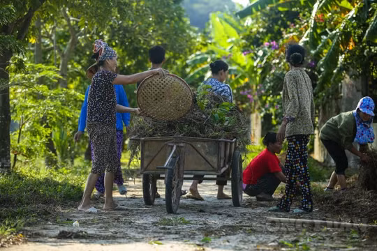 Người thân tất bật dọn dẹp đường làng, ngõ xóm chờ đón tân Hoa hậu Việt Nam 2020