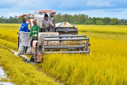 Đưa An Giang thuộc nhóm đầu kinh tế khu vực ĐBSCL vào năm 2025