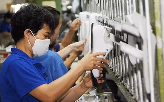 Các doanh nghiệp Việt Nam chưa khai thác triệt để cơ hội từ FTA