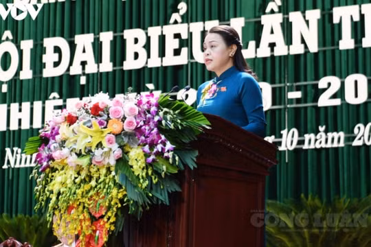 Bà Nguyễn Thị Thu Hà tái đắc cử Bí thư Tỉnh uỷ Ninh Bình