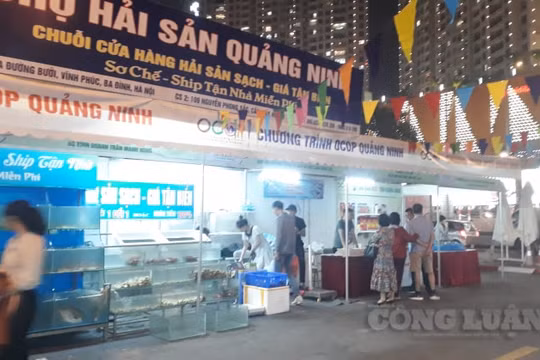 Quảng Ninh: Tổ chức Tuần giới thiệu, kết nối tiêu thụ hải sản tại Hà Nội