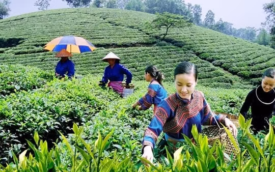 Đưa thu nhập của người dân tộc thiểu số tăng gấp đôi vào năm 2025