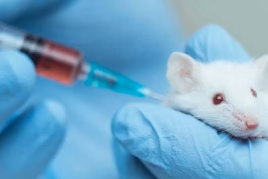 Việt Nam tiêm thử nghiệm vaccine phòng Covid-19 trên chuột