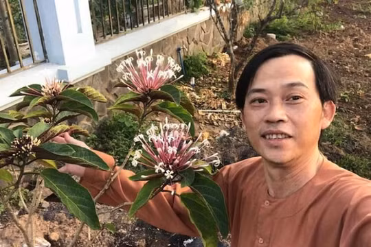 Tin giải trí 3/5: Hoài Linh khoe gương mặt “cháy nắng” vì làm vườn