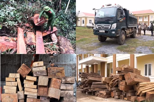 Bộ Công an khen thưởng Công an tỉnh Quảng Bình về chuyên án phá rừng Trường Sơn quy mô lớn