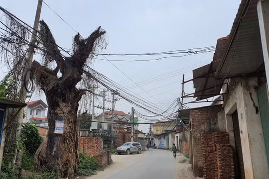Nhà đất phố cổ thất thế, đất nền ven đô trở thành 'con gà đẻ trứng vàng' của giới đầu tư Hà Nội
