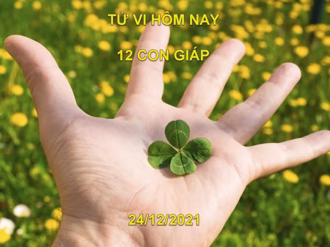 tu vi hom nay 24 12 2021 thu 6 ngay 21 11 am lich cua 12 con giap hinh 1