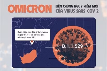 thu tuong chi dao bo y te nghien cuu toan dien ve chung moi omicron hinh 1