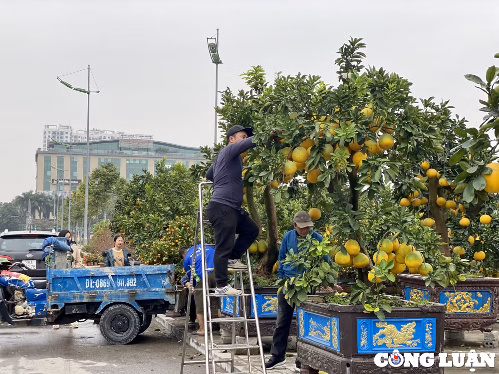 thanh hoa khong khi tet da ron rang tren nhieu tuyen pho hinh 6