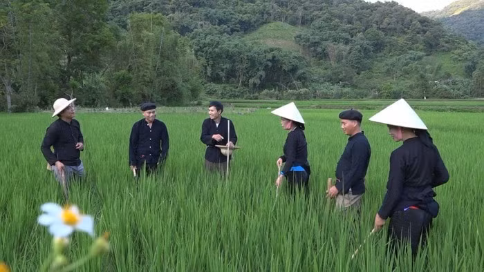 bac kan bao ton va phat huy gia tri di san hat luon coi hinh 1