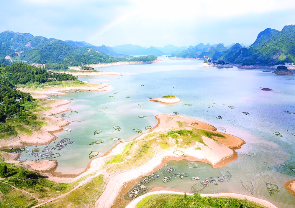 nhung buc anh la cau noi cho nhung gia tri nhan van duoc lan toa hinh 2