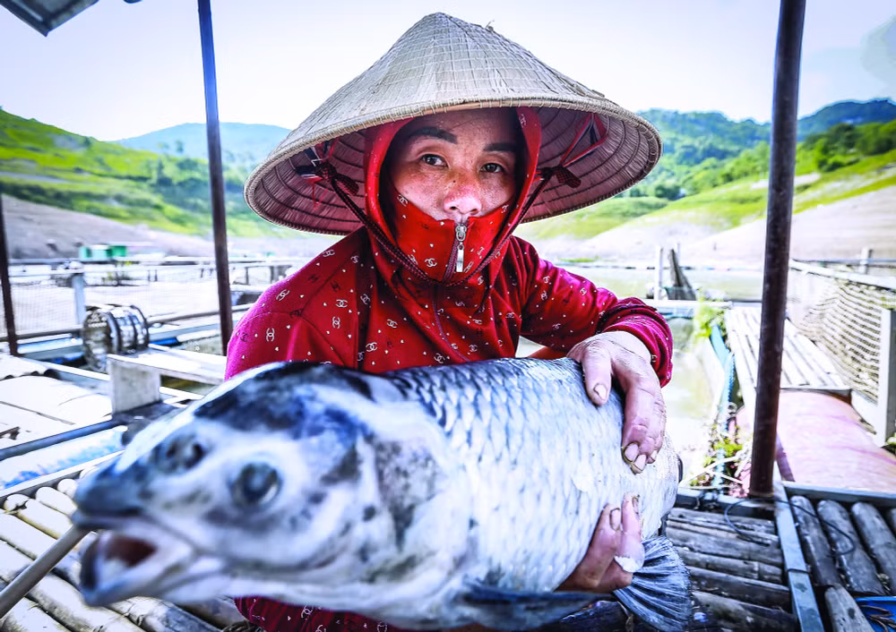 nhung buc anh la cau noi cho nhung gia tri nhan van duoc lan toa hinh 5