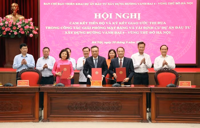 ha noi dau dau khat vong hoa rong hinh 4