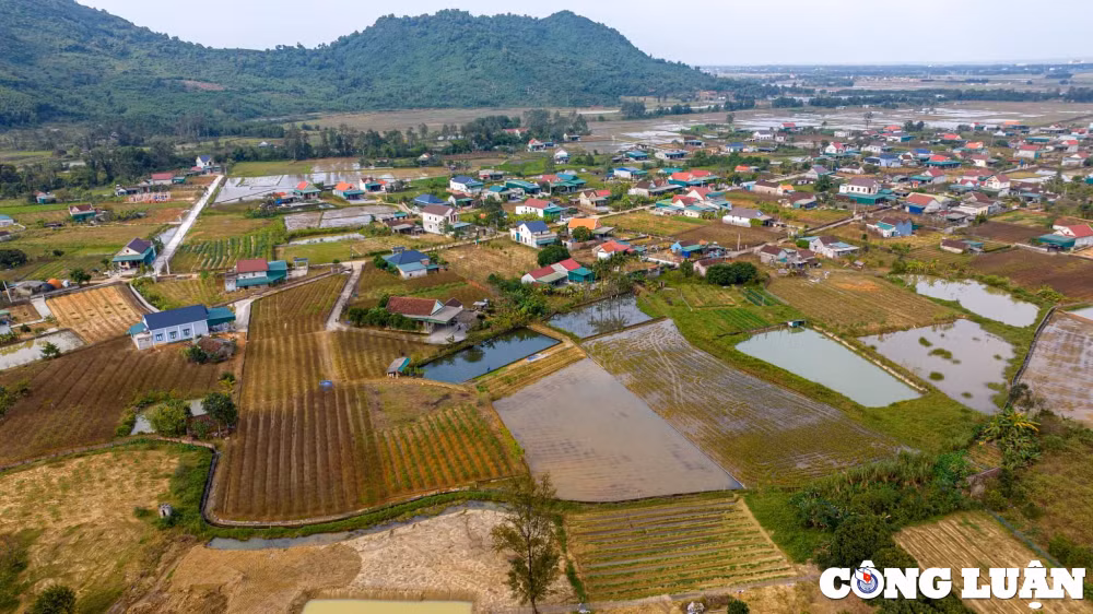 lang dao co dam tat bat chuan bi hang tet hinh 1