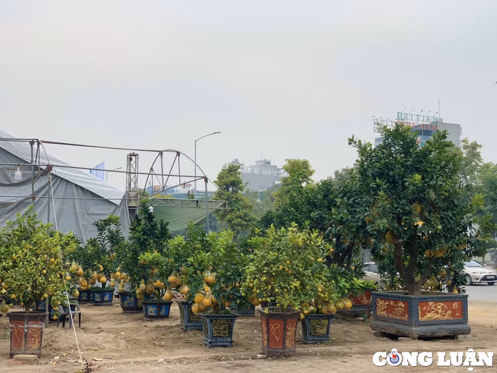khong khi tet nguyen dan 2023 da ron rang tren nhieu tuyen pho o hai duong hinh 4