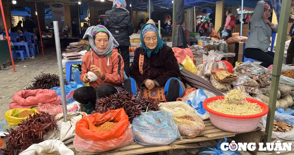 lao cai day manh phat trien du lich nong thon hinh 6