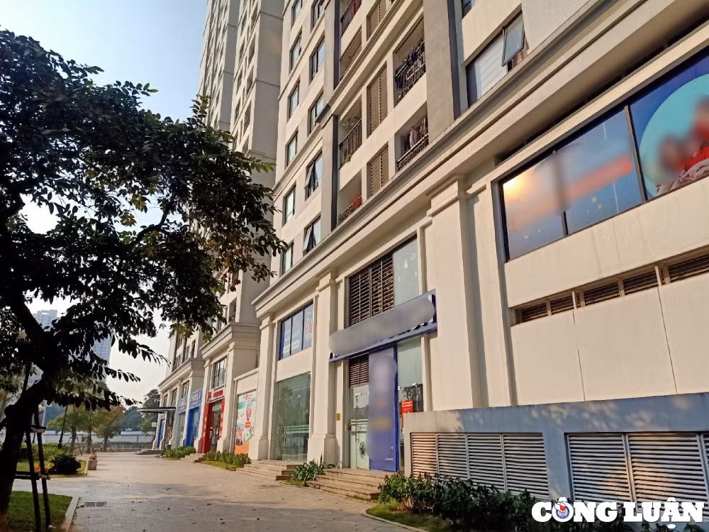 cong an dang lam ro vu tong giam doc ngoc thien global bi to dung dao tan cong nguoi khac hinh 3