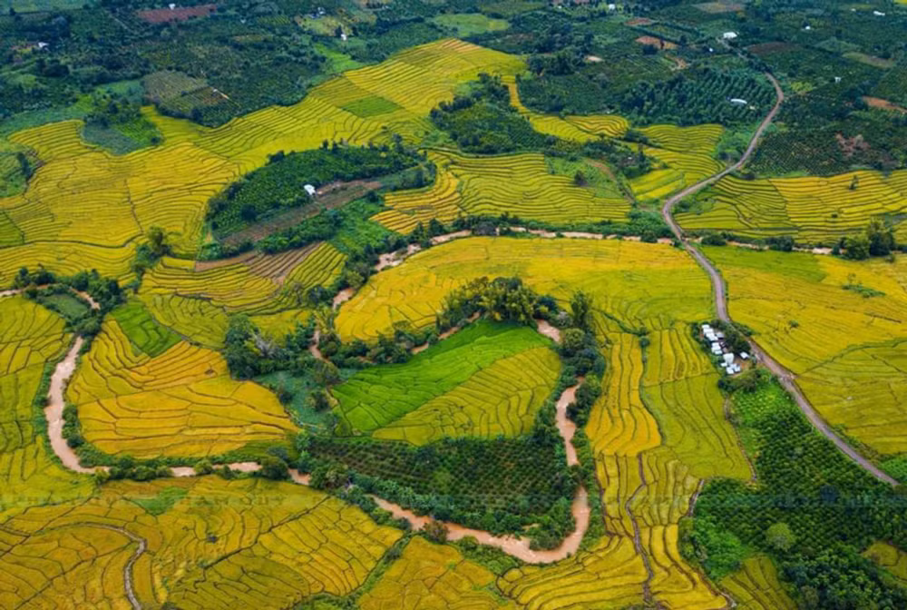 hat ngoc troi mang ten gao ba cham hinh 1
