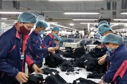 bac ninh co gan 6000 luot doanh nghiep duoc chap thuan vi tri cong viec su dung lao dong nguoi nuoc ngoai hinh 1