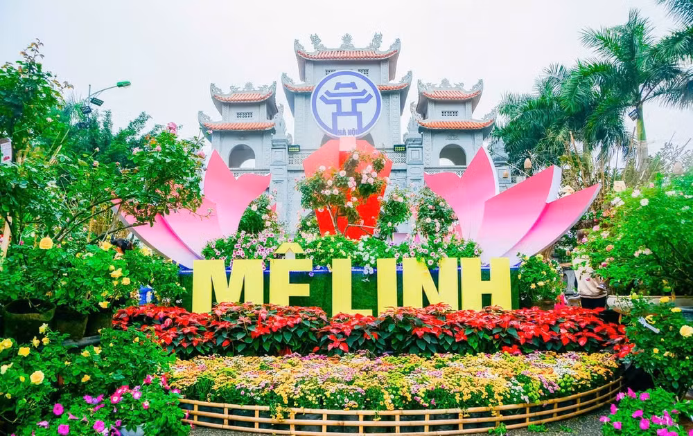 le hoi hoa lon nhat mien bac sap dien ra hinh 1