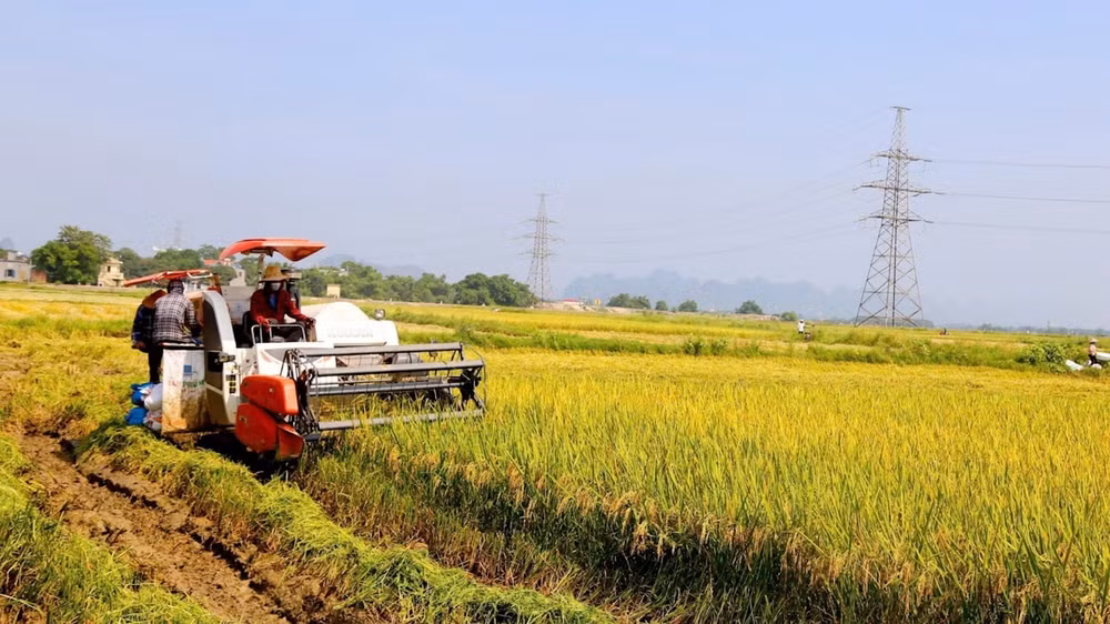 huyen gia vien ninh binh dat nhieu ket qua noi bat toan dien tren cac linh vuc hinh 2