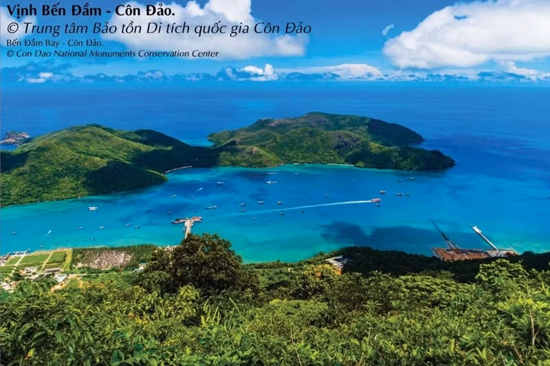 trien lam 3d truc tuyen con dao ban hung ca giua trung khoi hinh 2