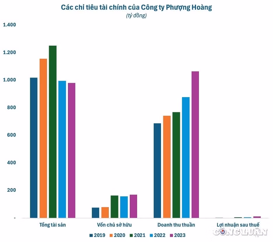 cong ty co phan xay dung va thuong mai phuong hoang ong vua trung thau tai hai duong doanh thu nghin ty dong thue ca nam chi bang tien thu mot ngay hinh 3