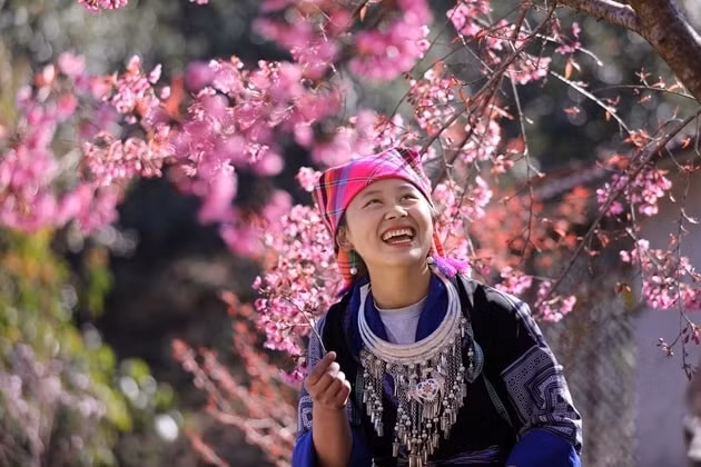 sap dien ra festival khen mong va le hoi hoa to day o yen bai hinh 2