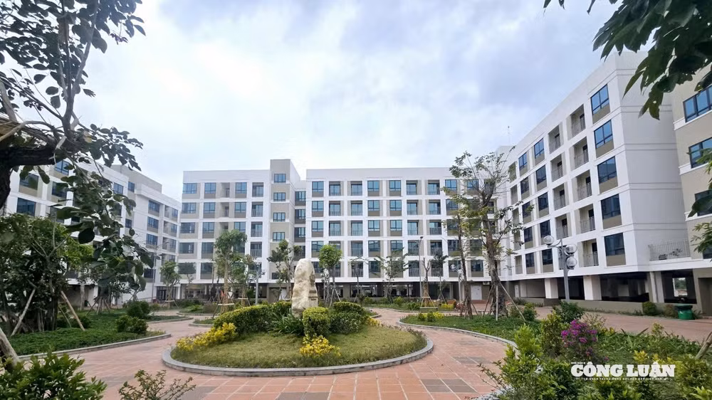 7-quang-ninh-dat-ky-tich-nam-2025.jpg