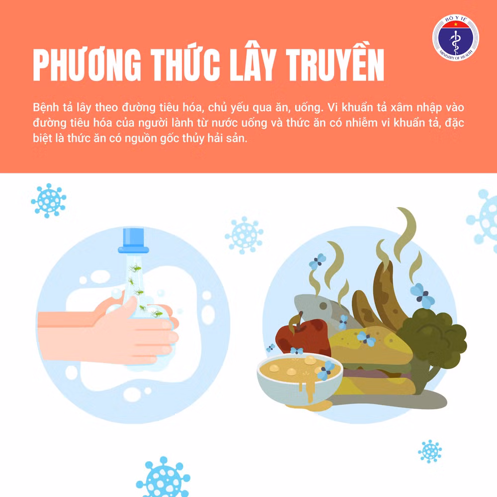 Bệnh tả 3
