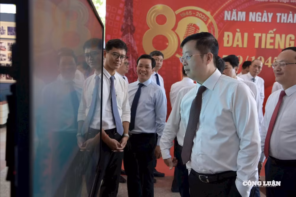 vtv.jpg