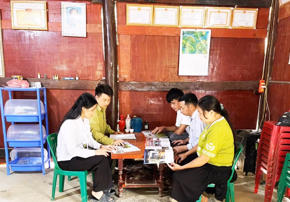133723_bi_thu_chi_bo_truong_xom_ma_lip_xa_truong_ha_ha_quang_ly_van_thai_th_20225320.jpg