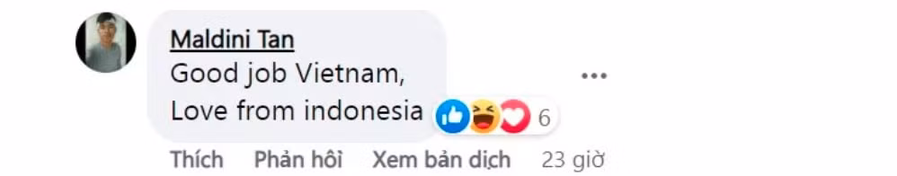 co dong vien dong nam a danh con mua loi khen cho san dau cua viet nam tai sea games 31 hinh 4