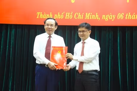 tp hcm bi thu quan binh tan lam giam doc so ld tbxh hinh 2