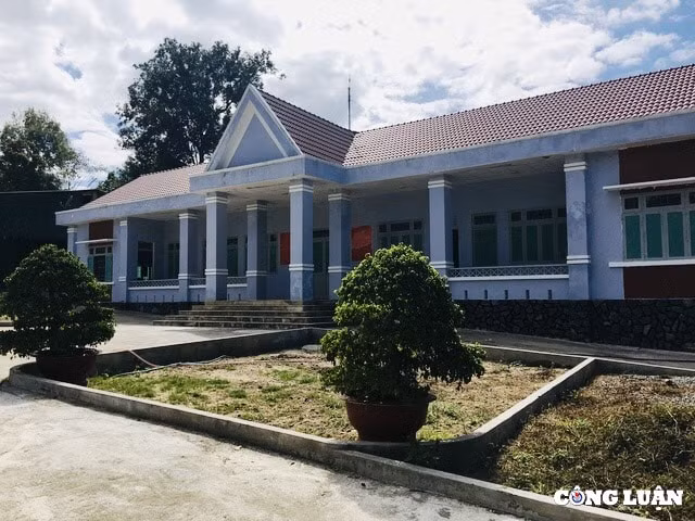 kon tum sai pham chong chat tai cong ty tnhh mtv lam nghiep ia hdrai hinh 1