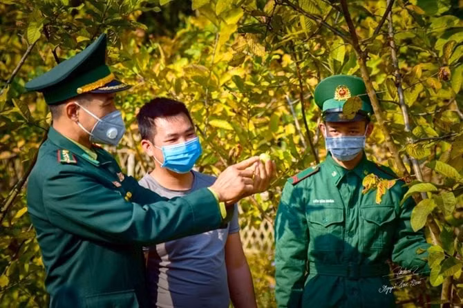 suc bat moi o dai dat bien cuong quang ninh hinh 1