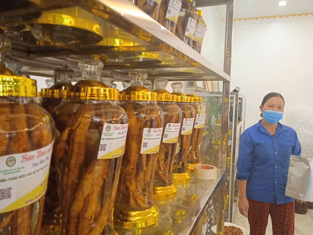 mang tien ve cho sam nui danh hinh 1